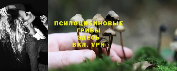 MESCALINE Лагань