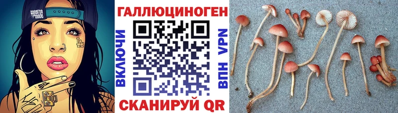 Псилоцибиновые грибы прущие грибы  Чегем 